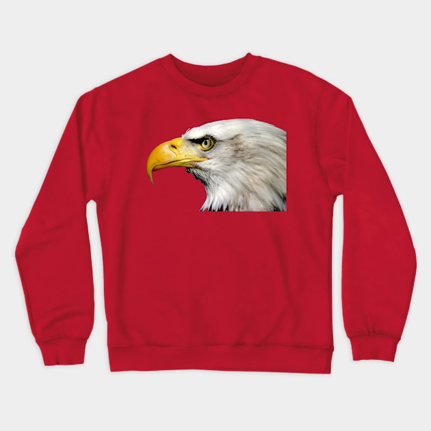 Bald Eagle Crewneck Sweatshirt by North West